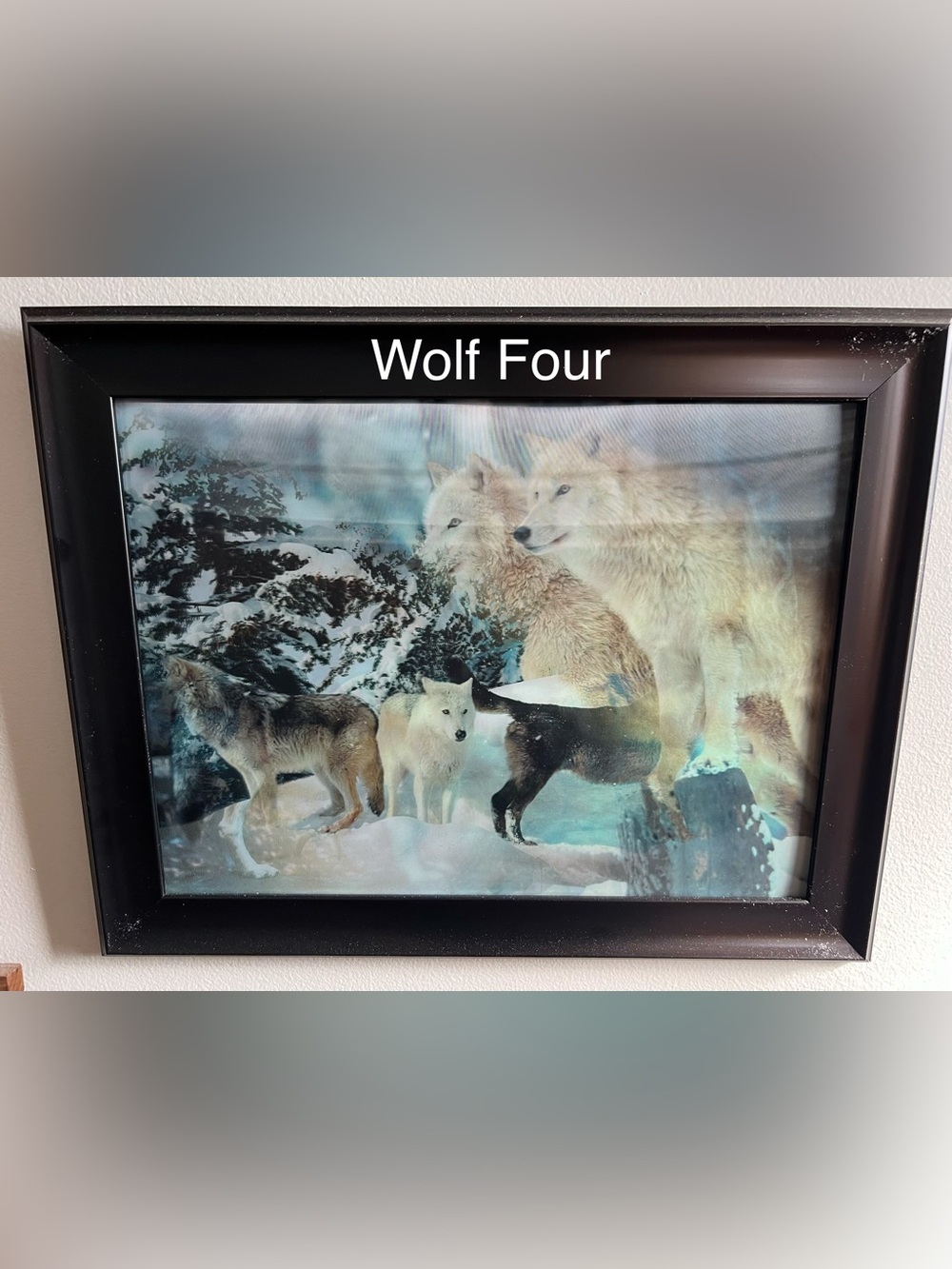 Pick One: Majestic Wolf Pictures - Picture 7 of 9